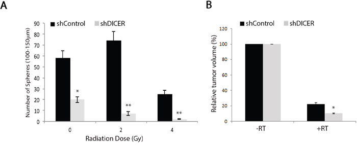 DICER knockdown increases sensitivity of GSCs and their resulting tumors to radiation treatment.