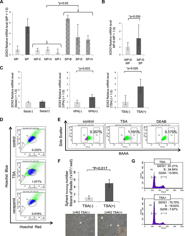 SOX2 expression and stemness are regulated by class I HDAC.