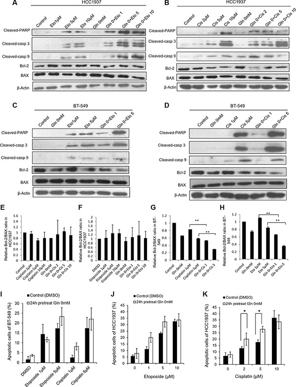 Glutamine deprivation alters apoptosis reactions in HCC1937 and BT-549 cells caused by cisplatin or etoposide.