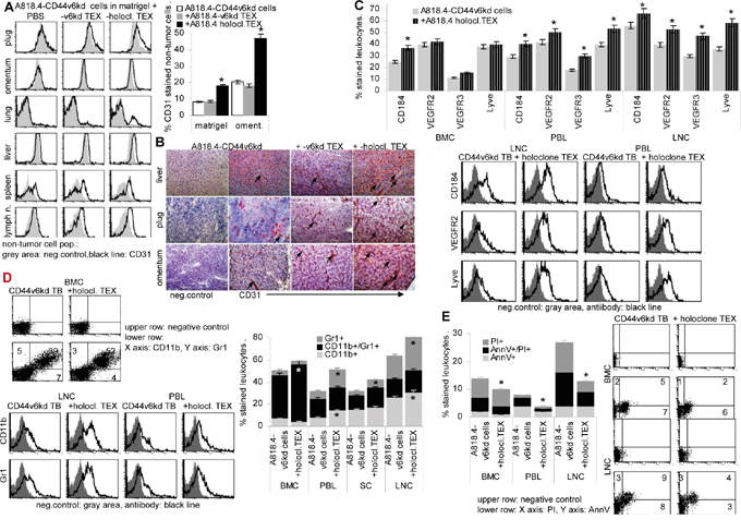 The impact of holoclone TEX on host cells.