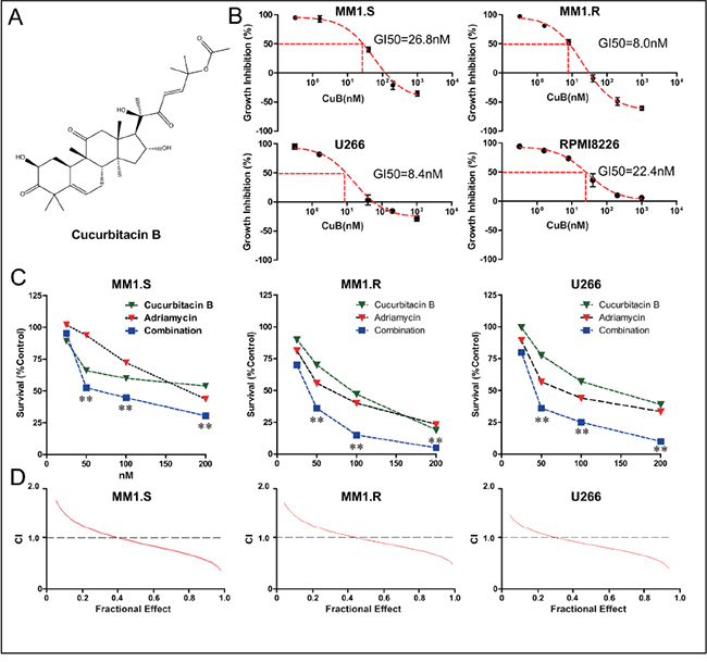 CuB inhibits proliferation of MM cells, acting synergistically with Adriamycin.