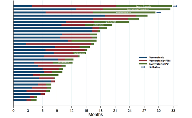 The swimmers plot illustrates the survival of patients treated with vemurafenib as single agent prior to enrolment (blue), with vemurafenib and fotemustine within the study (red) and after progressive disease (green).