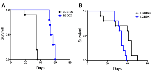 EG-BTSCs are more lethal and differentiation sensitive than LG-BTSCs.