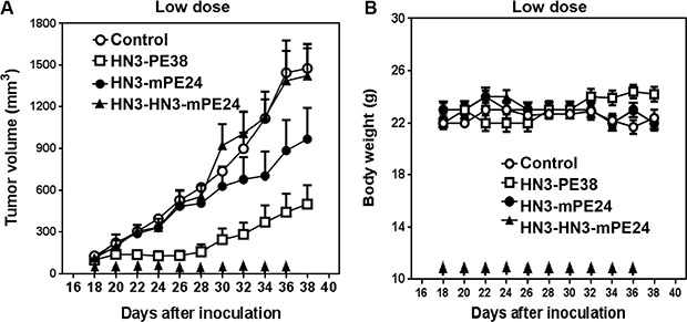 Comparison of anti-tumor activity of immunotoxins at a low dose in mice.