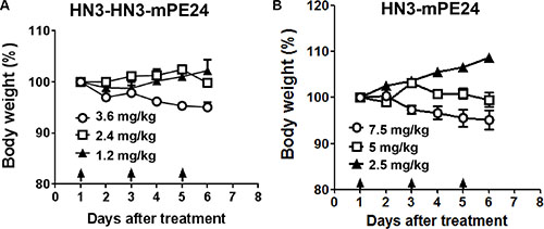 Toxicity determination of HN3-HN3-mPE24 and HN3-mPE24 in mice.