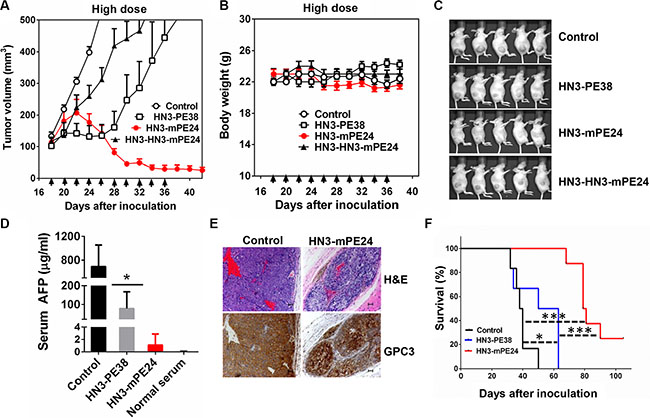 Anti-tumor activity comparison of anti-GPC3 immunotoxins at their tolerated doses in mice.