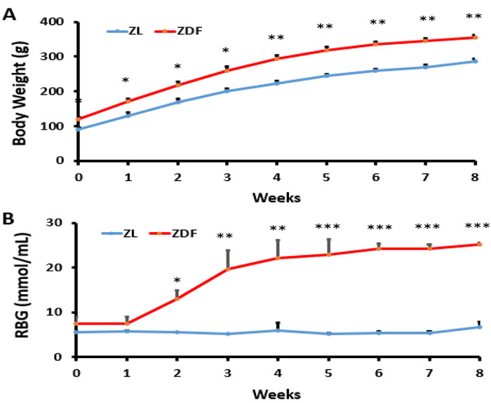 Body weight and blood glucose levels.