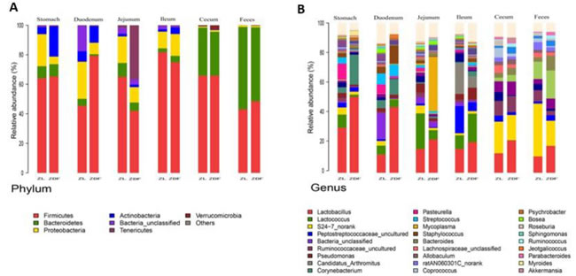 Bacterial taxonomic composition in ZDF rats compared to ZL rats.