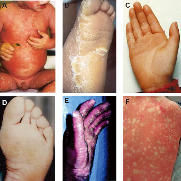 Clinical characteristics.