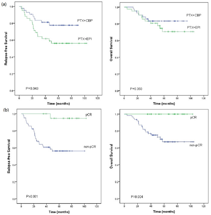 Kaplan-Meier plot of Relapse-free survival (RFS) and overall survival (OS) (a) by different neoadjuvant regimens, and (b) in patients who achieved pathologic complete response (pCR) or not (non-pCR).