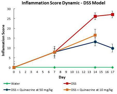 Dynamic of inflammatory score in DSS model of colitis.