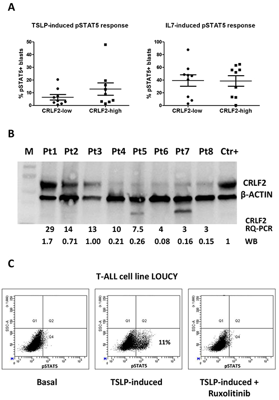 TSLP-induced pSTAT5 response and intracellular expression of CRLF2.