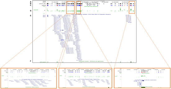 Validation of the DNA methylation status of the DLK1-DIO3 cluster using TCGA data.