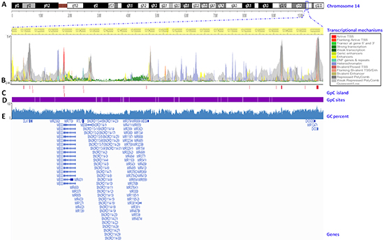 Transcriptional mapping of the DLK1-DIO3 cluster to the human reference genome hg19.
