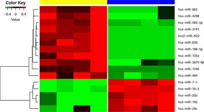 Heatmap visualizing the differentially expressed microRNAs between high and low MYH9 expressers.