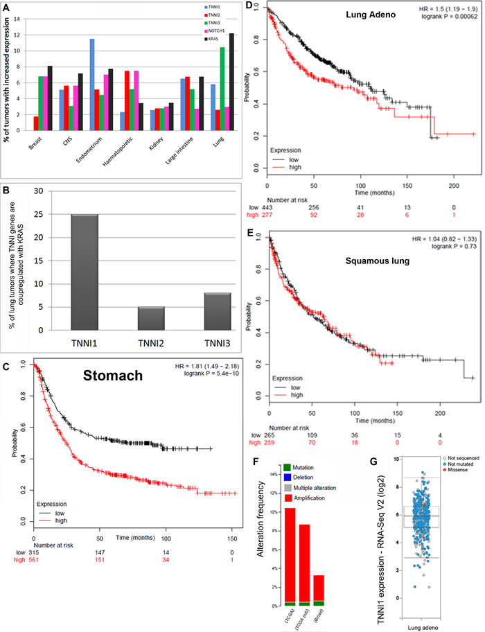 Association data in cancer databases.