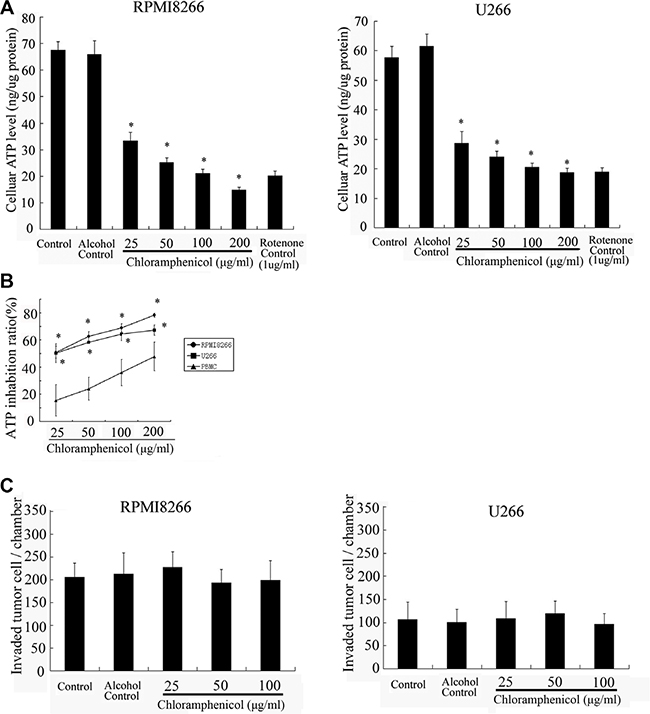 Cellular ATP levels and in vitro tumor cell invasion.