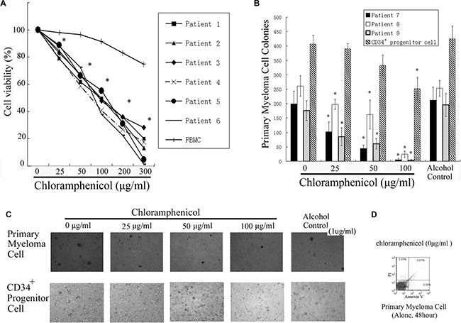 Inhibition of primary MM cell growth.