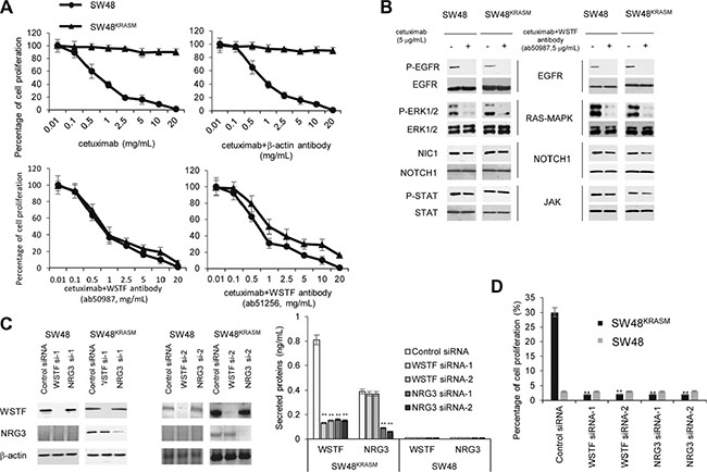 Blockade of WSTF could restore cetuximab sensitivity.