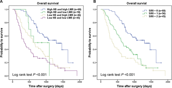 Kaplan-Meier curves for overall survival probability according to combination of preoperative hemoglobin and LMR.