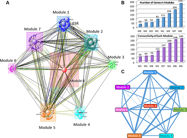 Gene modules involved in the comprehensive OLIG2 signaling network.