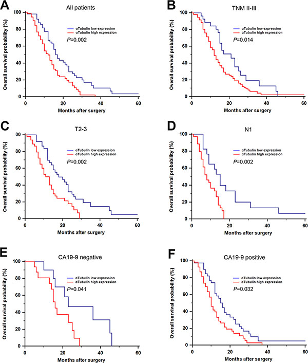 Kaplan&#x2013;Meier analysis for OS of patients with gastric cancer according to the &#x03B1;SMA expression.