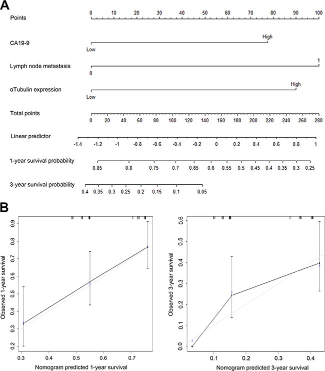 Prognostic nomogram generation for predicting overall survival in patients with gastric cancer.