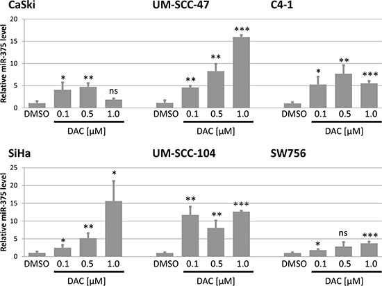 Expression of miR-375 is reactivated after treatment with DAC in all