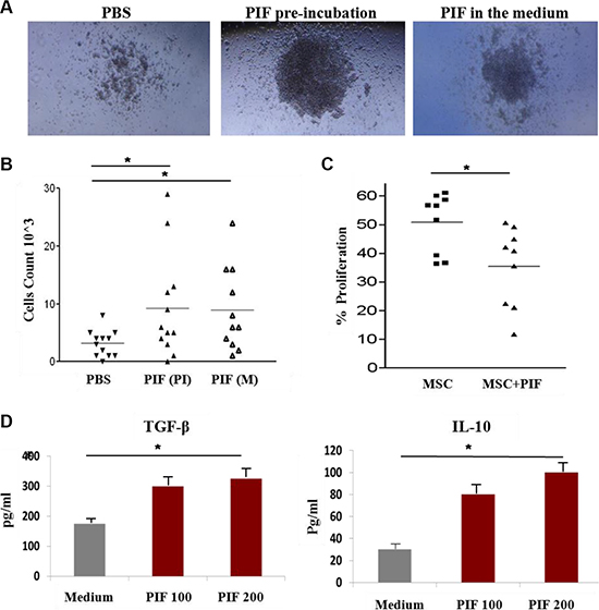 PIF improves pre-B cell differentiation from BM and enhances immunoregulatory function of MSC.