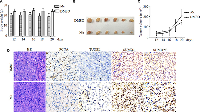Mc suppresses PC3 tumor growth in a mouse xenograft model.