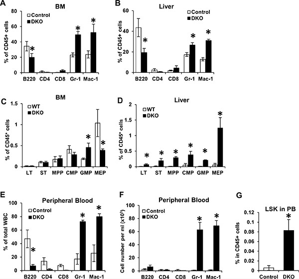Loss of CBL and CBL-B leads to unique hematopoiesis features during neonatal development.