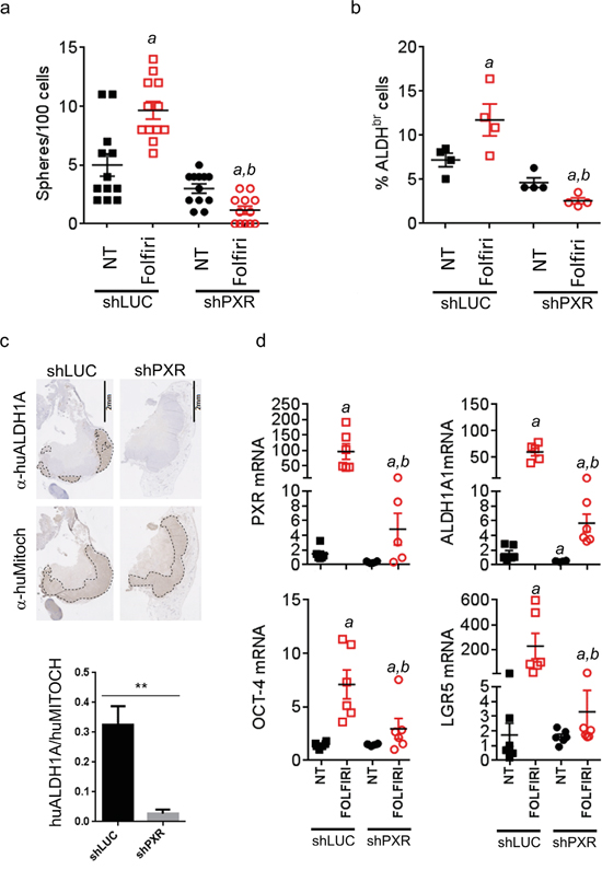 PXR depletion impairs chemotherapy-induced enrichment of PXR and CSC markers in vivo.