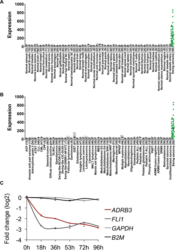 ADRB3 is an ES associated target antigen.