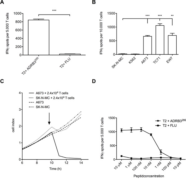 Functional evaluation of ADRB3295-TCR transgenic T cells.