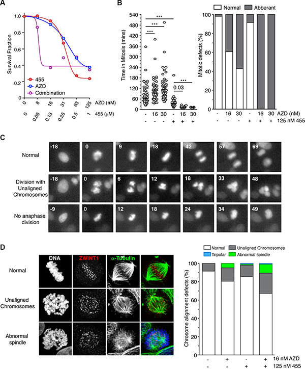 MPS1 and Aurora B inhibitors synergise in killing cells through override of the SAC.