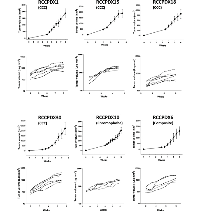 In vivo growth curves of 6 RCCPDX tumors after implantation in nude mice.