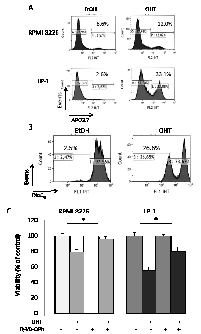 Caspase-dependent apoptosis is not the only form of active cell death occurring in OHT-treated HMCLs.