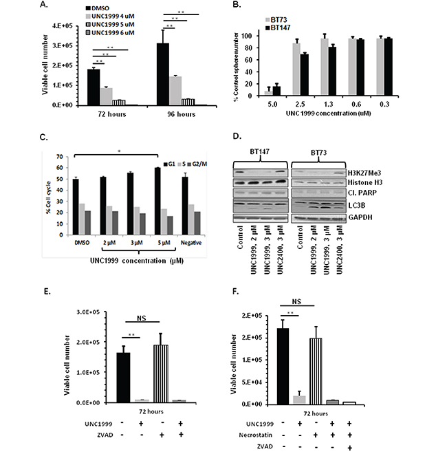 UNC1999 treatment decreases cell viability, impairs self-renewal, causes cell cycle arrest and decreases H3K27Me3.