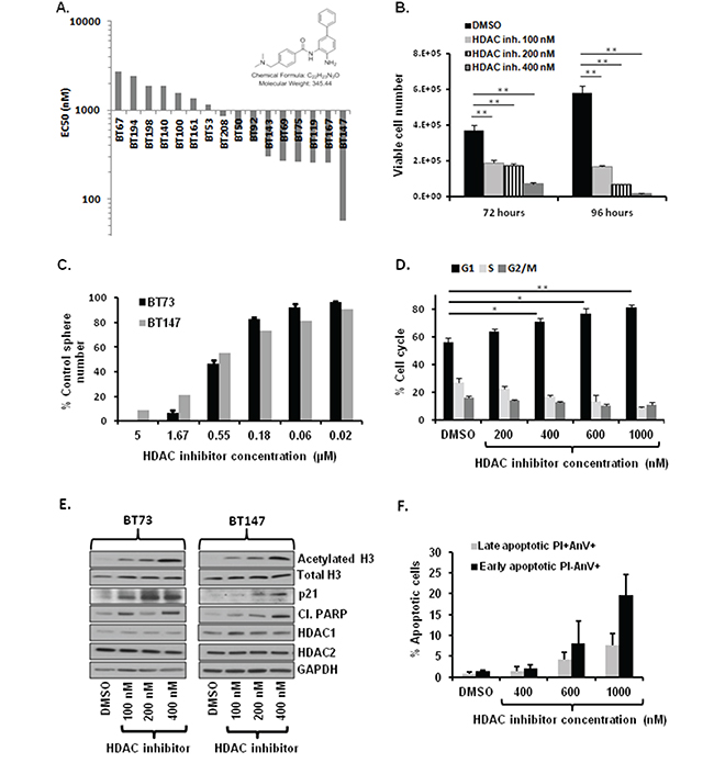 Treatment with brain-penetrant HDAC inhibitor compound 26 decreases cell viability, impairs self-renewal, causes cell cycle arrest, induces apoptosis and increases total levels of acetylated H3.