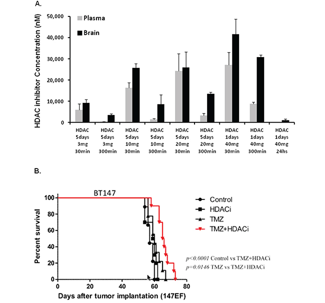 HDAC inhibitor compound 26 crosses the blood brain barrier and extends survival in an orthotopic tumor model in combination with TMZ.