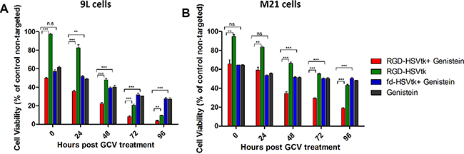Genistein increased cell death of 9L and M21 tumor cells after transduction with RGD-HSVtk followed by GCV treatment.