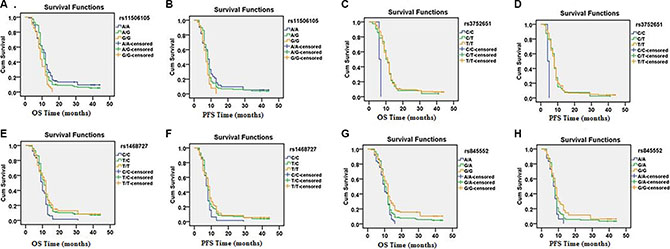 Kaplan-Meier curves for OS and PFS for patients with different genotypes corresponding to four EGFR SNPs (rs11506105, rs3752651, rs1468727 and rs845552).