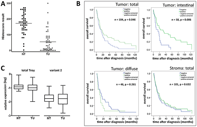 Detection of Troy on protein level is relevant for gastric cancer prognosis.