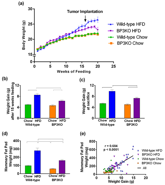 IGFBP-3 knock-out mice are resistant to diet-induced weight gain.