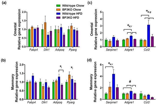 Expression of genes associated with obesity in mammary and omental fat.