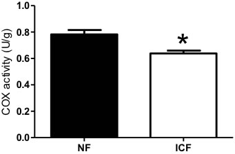 Mitochondrial content.