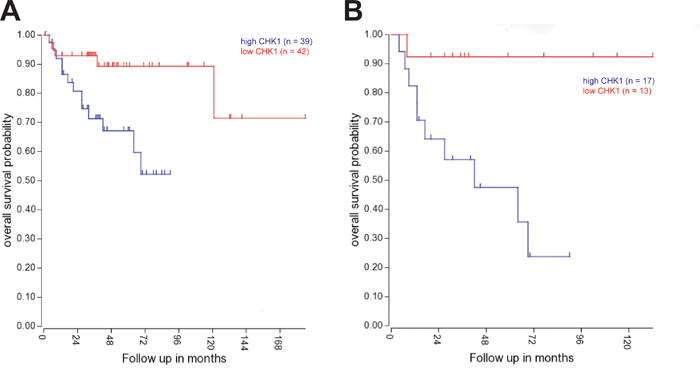 CHK1 expression is correlated with adverse outcomes in medulloblastoma patients.