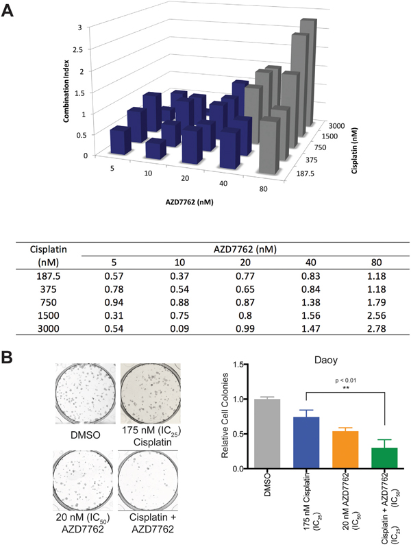 Treatment of Daoy cells with AZD7762 acts in synergy with cisplatin to reduce cellular proliferation.