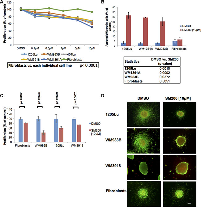 SM200 inhibits proliferation and invasion of 2D and 3D melanoma cells.