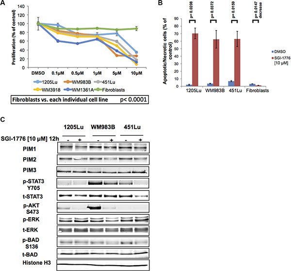 SGI-1776 inhibits proliferation and invasion of melanoma cells.